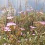 Debtford Pink Flowers