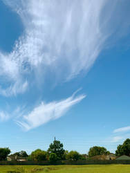 Cirrus Clouds Above Field