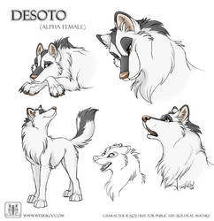 Sketches Desoto