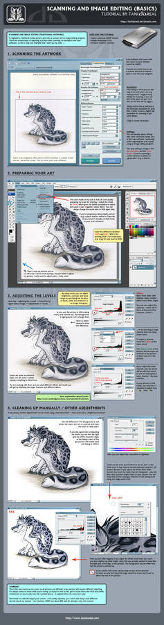 Tutorial - Scanning