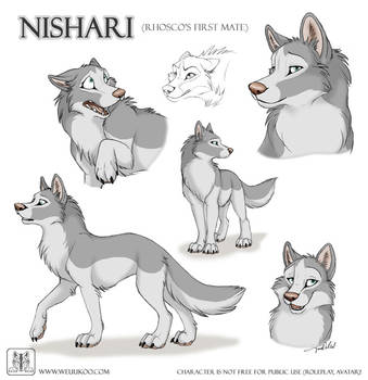 Sketches Nishari