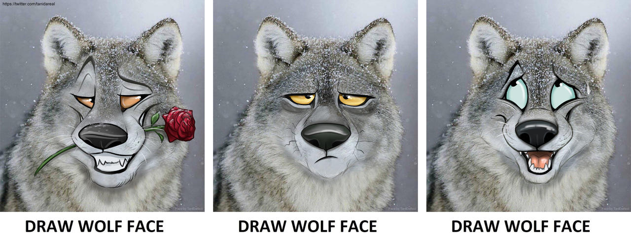 Draw Wolf Face  Know Your Meme