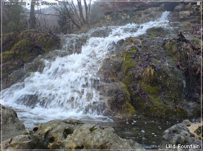 Wild Fountain -I-