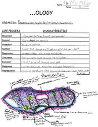 biology paper