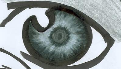 Eye