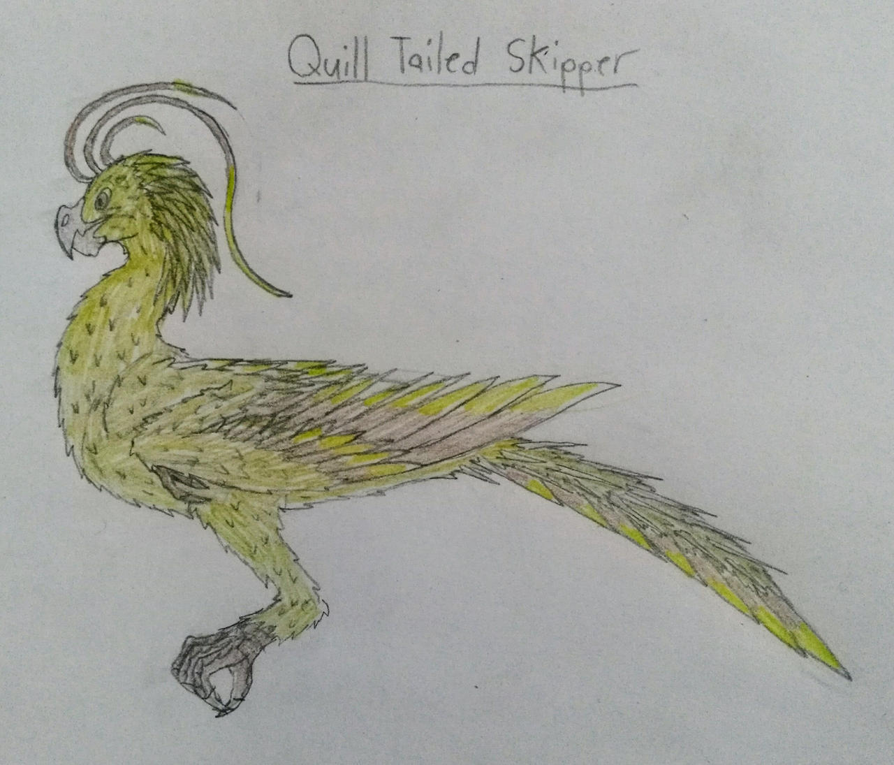 Quill Raptor The Quill Tailed Skipper by Staffderaptor on DeviantArt