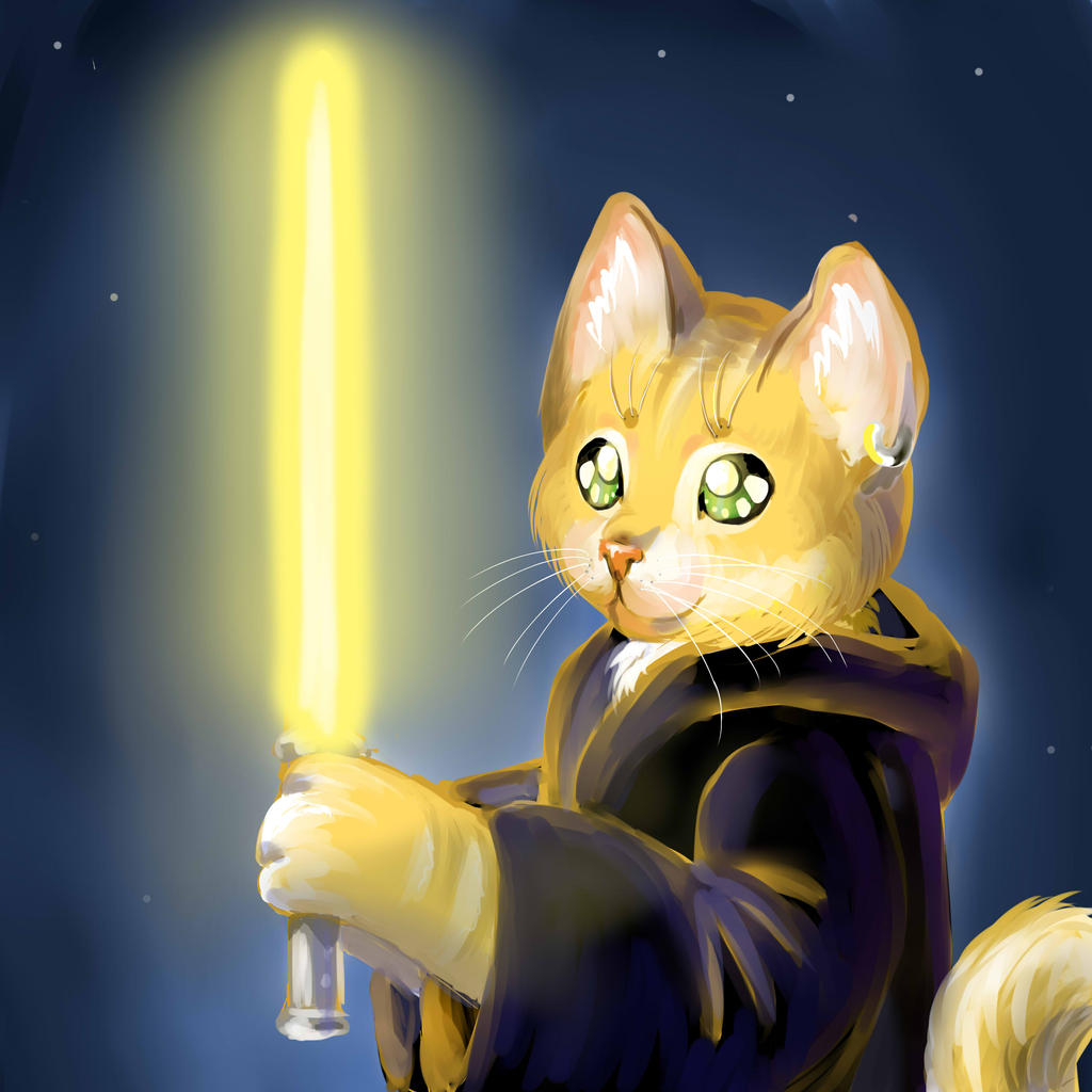 star wars cat by EiroTieyu on DeviantArt
