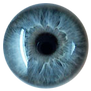 Iris 1
