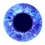 Iris 39