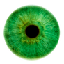 Iris 47