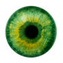 Iris 52