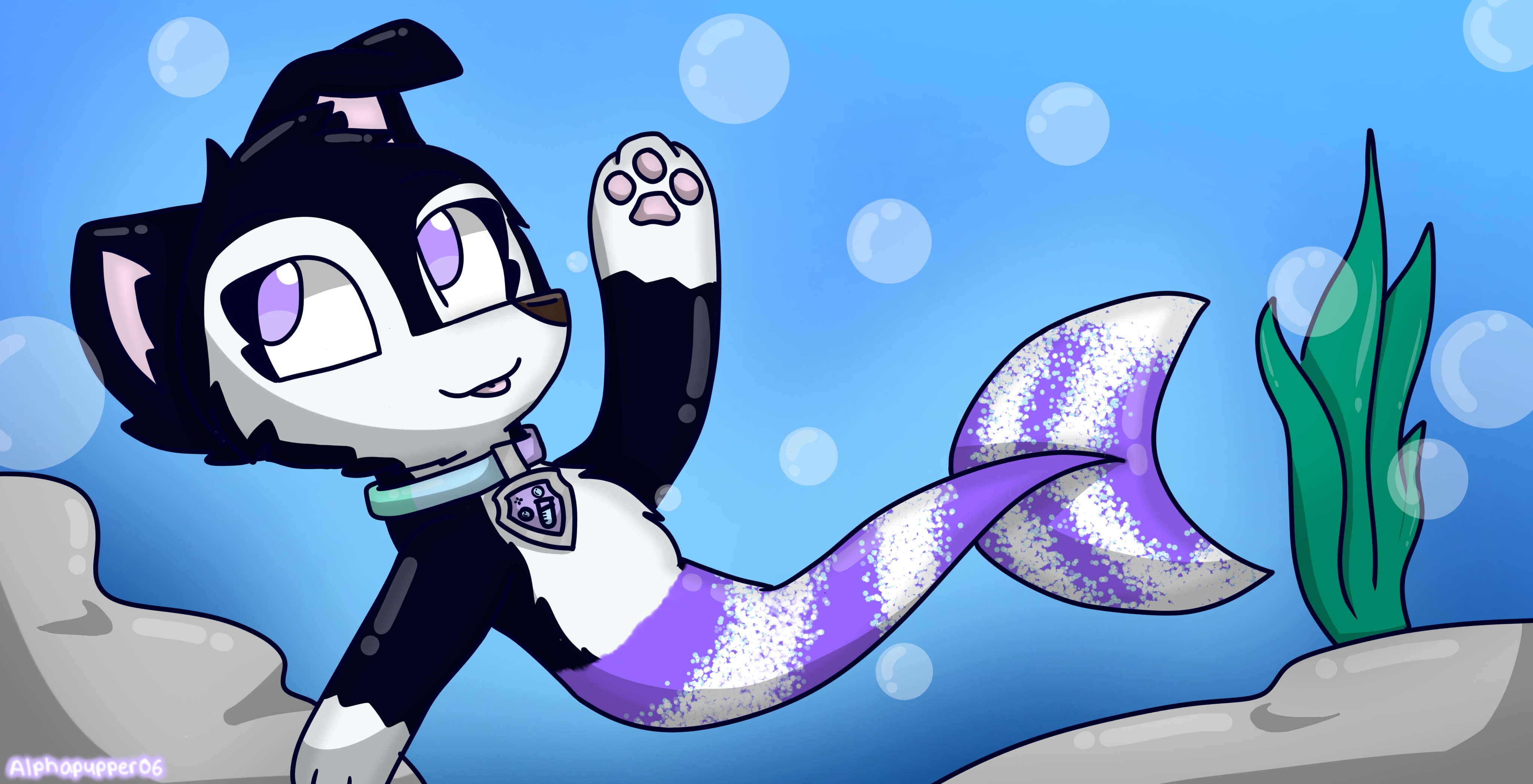 Contest Entry Merpup Alpha By Wolfiefoxxo On DeviantArt contest-entry-merpup-alpha-by-wolfiefoxxo-on-deviantart