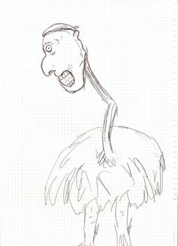 Disturbing Ostrich