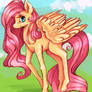 Fluttershy