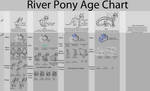 River Pony Age Chart Traits by Trilled-Llama
