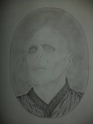 Voldemort WIP