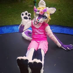 Random the unicorn husky fursuit