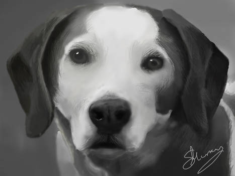 Digital Painting of my Beagle