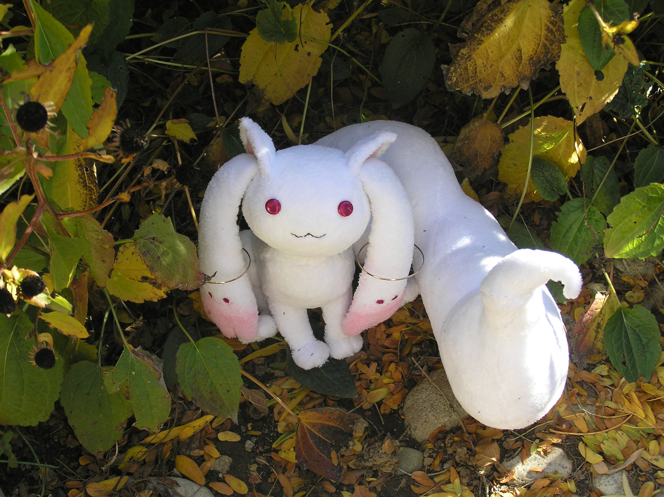 Kyubey among the leaves