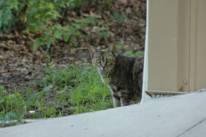 Mother on Keeping Watch