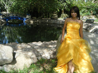 dress in Mexican Hacienda