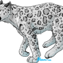 Snow leopard sketch