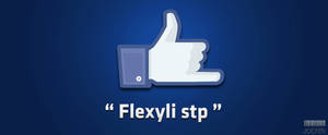 Flexyli Stp !