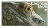 Beardie Love Stamp