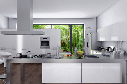 3D Architectural Kitchen