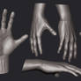 Zbrush sculpt of a hand (study session)