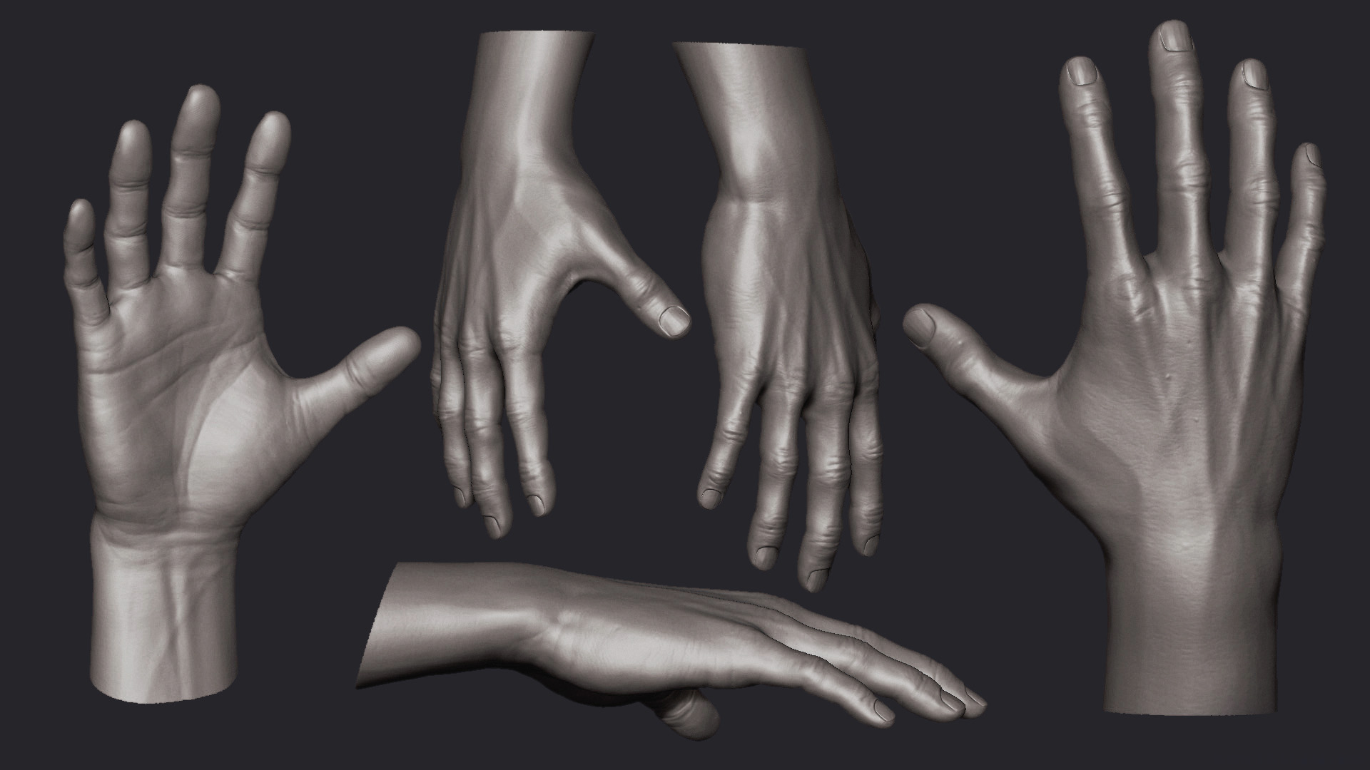 hand reference zbrush