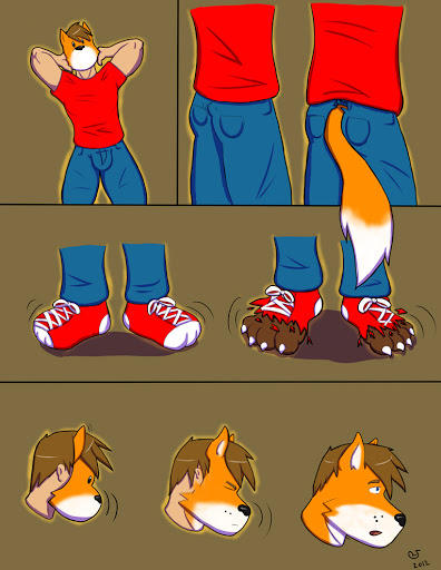 Fox Transform fox transformation by yifanxu0428 on DeviantArt