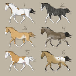 Horse Designs [6/6 OPEN]