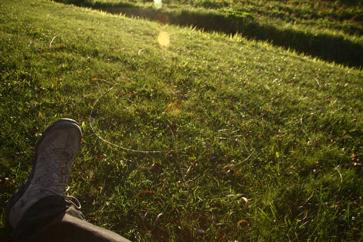 sunbeams in green