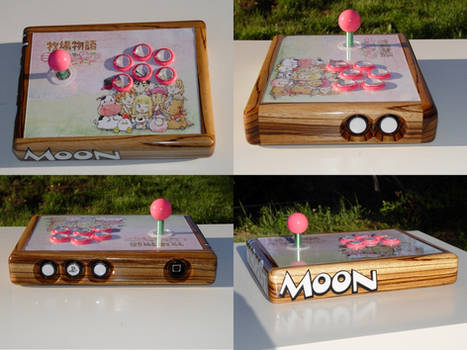 Harvest Moon Arcade Stick