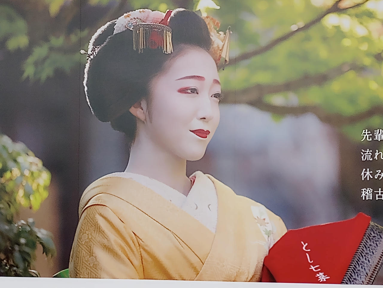 Geisha Ragoon Geisha by RinkuTown on DeviantArt