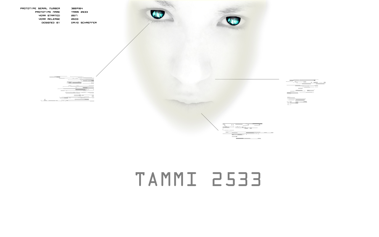 Tammi 2533