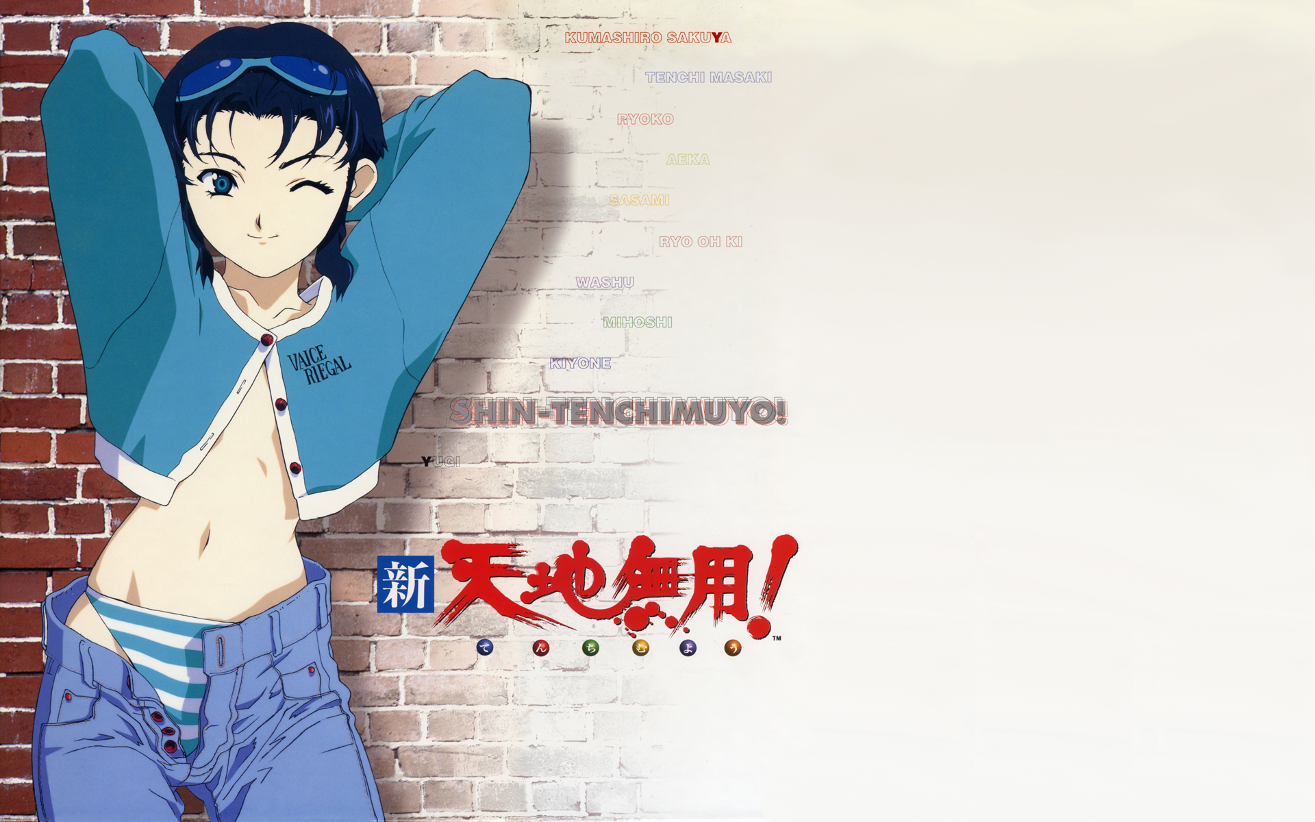 Shin Tenchi Muyo 9 Vostfr