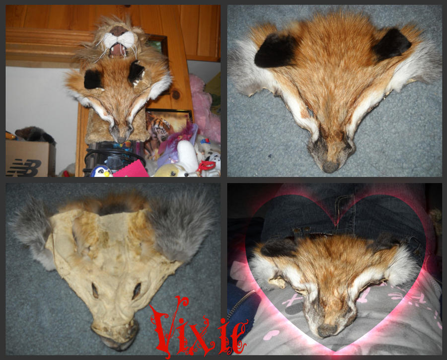 Red Fox Head: Vixie by galianogangster on DeviantArt