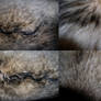 Grey Wolf Fur Stock