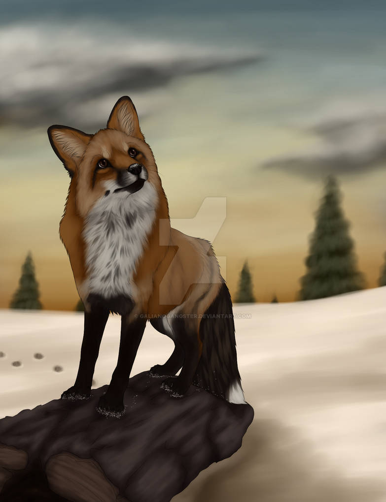 Swapped Fox Fox Art Swap 2016 by galianogangster on DeviantArt