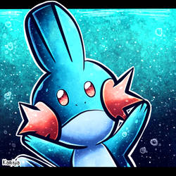 Pokemon Mudkip