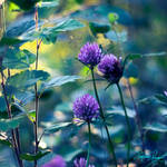 : o u t s i d e r s : by Korpinkynsi