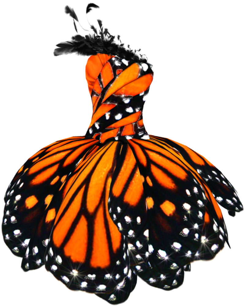 Butterfly Dress Png