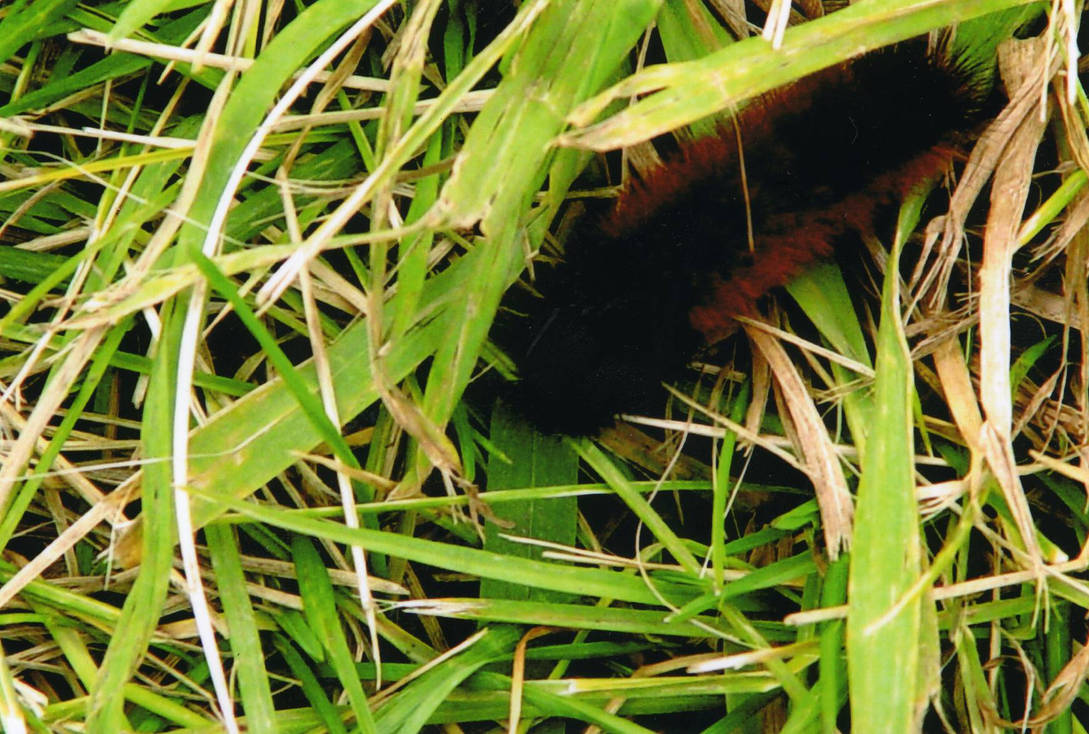 Forboding Signs by mythrilmasamune on DeviantArt