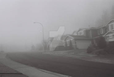 foggy neighborhood