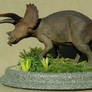 Triceratops 3