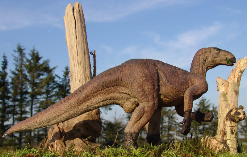 Iguanodon bernissartensis