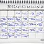 30 Days Challenge Meme