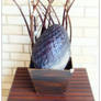 Dragon Egg